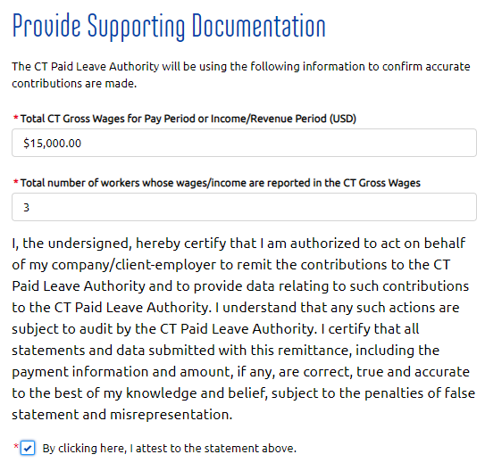 Screenshot of Provide supporting documentation online form
